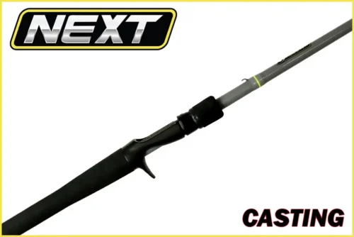 Next Series Casting