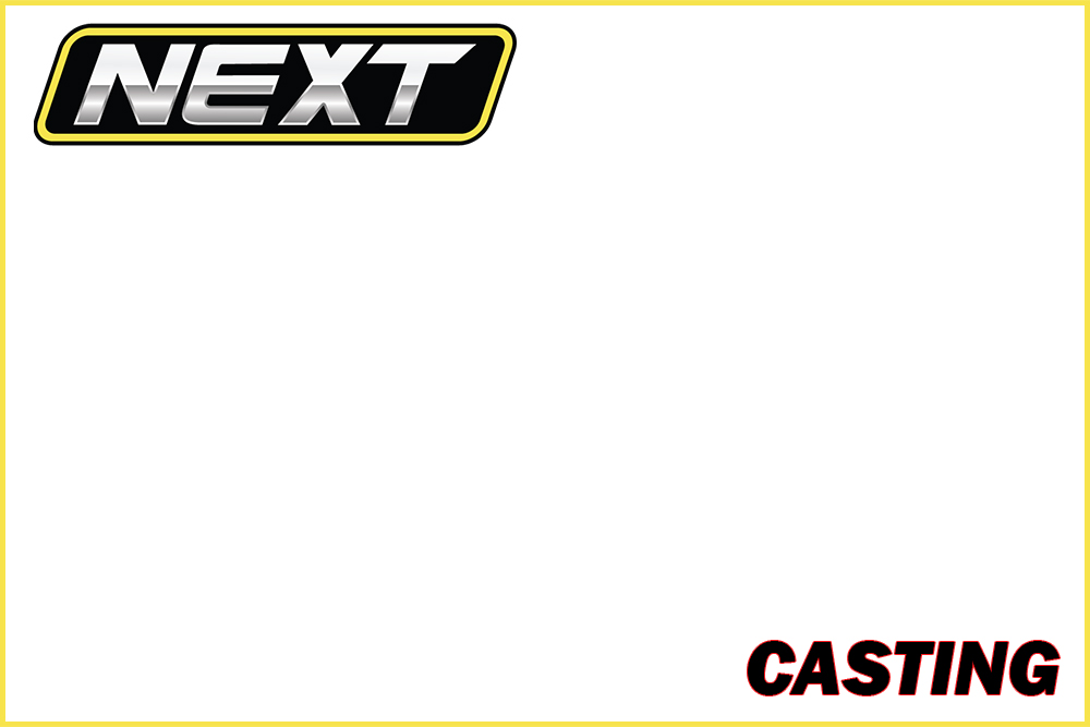 Next Casting Rods