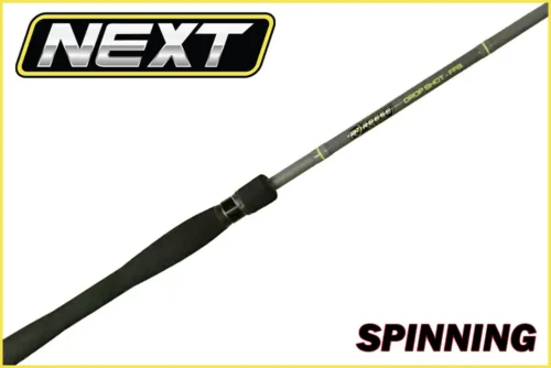 Next Series Spinning
