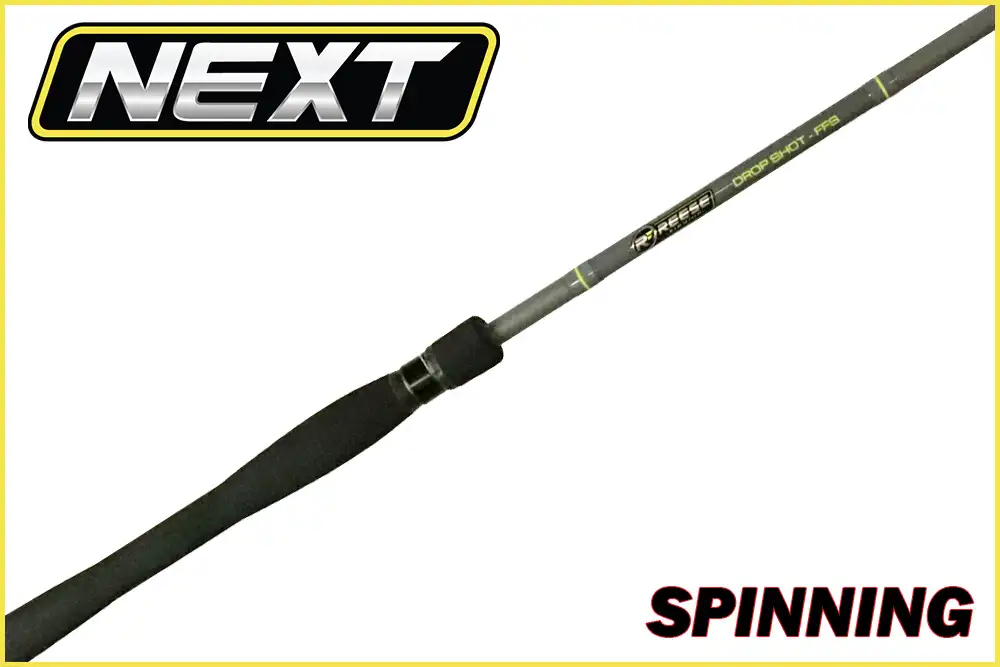 Next Series Spinning